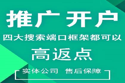 百度网络推广实战案例：从零开始打造爆款品牌